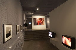Installation photo, 73 of 82