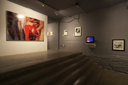 Installation photo, 74 of 82
