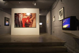 Installation photo, 75 of 82