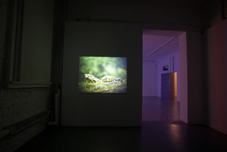 Installation photo, 2 of 3