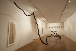 Installation photo, 15 of 18