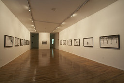 Installation photo, 11 of 12
