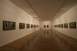 Installation photo, 2 of 12