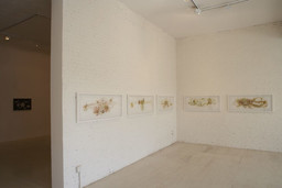 Installation photo, 12 of 63