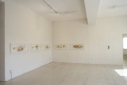 Installation photo, 14 of 63