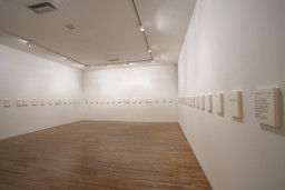 Installation photo, 45 of 51