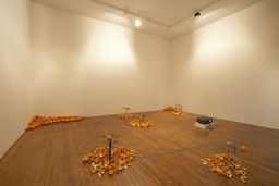 Installation photo, 1 of 20