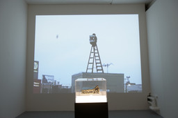 Installation photo, 13 of 20