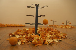 Installation photo, 7 of 20