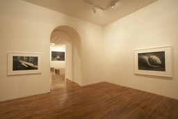 Installation photo, 15 of 21