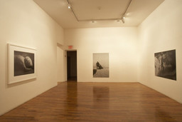Installation photo, 16 of 21