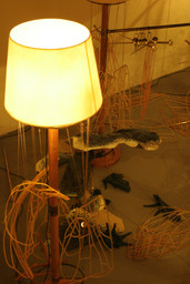 Installation photo, 62 of 80