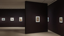 Installation photo, 10 of 23