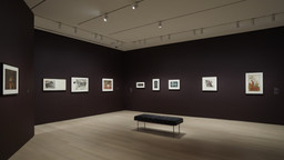 Installation photo, 8 of 23