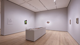 Installation photo, 28 of 63