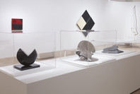 Sur moderno: Journeys of Abstraction—The Patricia Phelps de Cisneros Gift. Oct 21, 2019–Sep 12, 2020. 5 other works identified