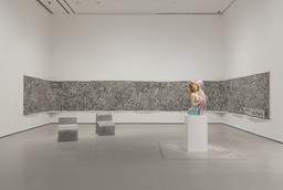 Installation photo, 4 of 5