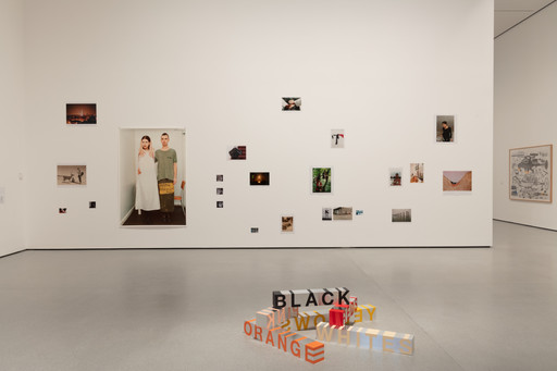 Wolfgang Tillmans. Deer Hirsch. 1995 | MoMA