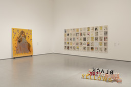 Installation photo, 8 of 9