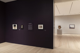 502: Early Photography and Film. Through fall 2021. 4 other works identified