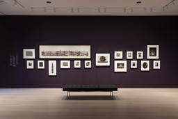 502: Early Photography and Film. Through fall 2021. 15 other works identified