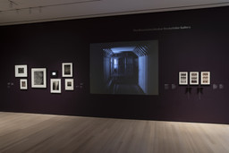 502: Early Photography and Film. Through fall 2021. 15 other works identified