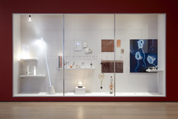 Installation photo, 6 of 18
