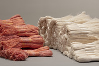 Taking a Thread for a Walk. Oct 21, 2019–Jan 10, 2021.