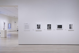 Installation photo, 1 of 12
