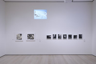 409: Abstract Lens. Fall 2019–Fall 2020. 2 other works identified