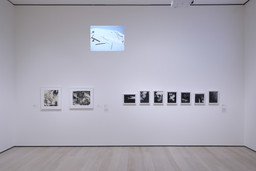 Installation photo, 5 of 12
