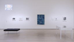 Installation photo, 7 of 12