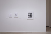 409: Abstract Lens. Fall 2019–Fall 2020. 2 other works identified