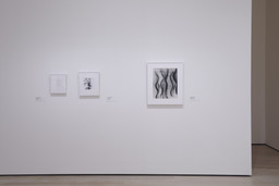 Installation photo, 8 of 12