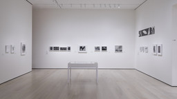 Installation photo, 9 of 12
