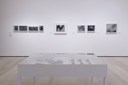 Installation photo, 10 of 12