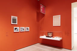 Installation photo, 6 of 11