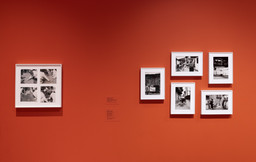 Installation photo, 8 of 11