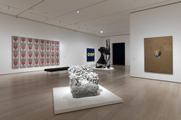 Installation photo, 6 of 8