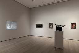 Installation photo, 8 of 11