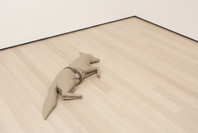 Surrounds: 11 Installations. Oct 21, 2019–Jan 4, 2020.