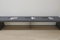 Surrounds: 11 Installations. Oct 21, 2019–Jan 4, 2020. 2 other works identified