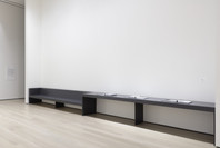 Surrounds: 11 Installations. Oct 21, 2019–Jan 4, 2020. 2 other works identified