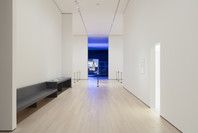 Surrounds: 11 Installations. Oct 21, 2019–Jan 4, 2020. 2 other works identified