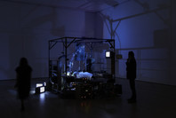 Surrounds: 11 Installations. Oct 21, 2019–Jan 4, 2020.