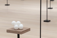 Surrounds: 11 Installations. Oct 21, 2019–Jan 4, 2020.