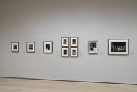 510: Machines, Mannequins, and Monsters. Fall 2019–Fall 2020. 7 other works identified
