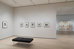 Installation photo, 8 of 10
