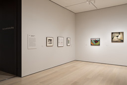 Installation photo, 1 of 23