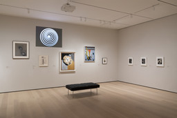 Installation photo, 6 of 23